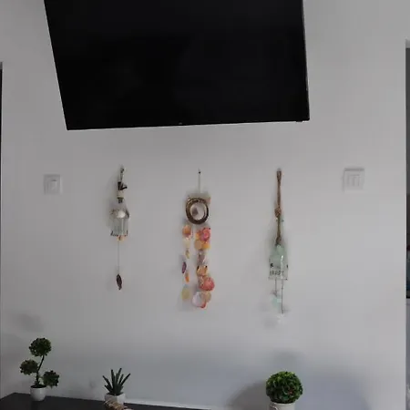아파트 Apartament Zodiaccc *